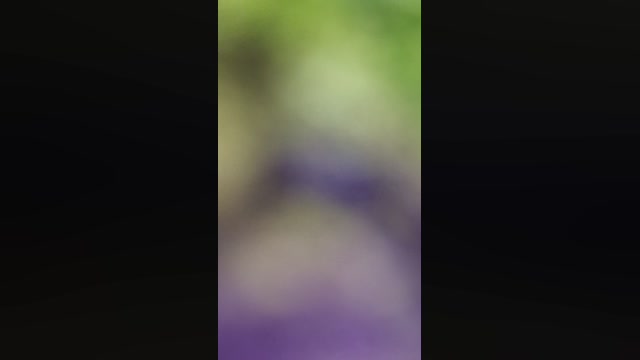 Socke72  05-05-2023